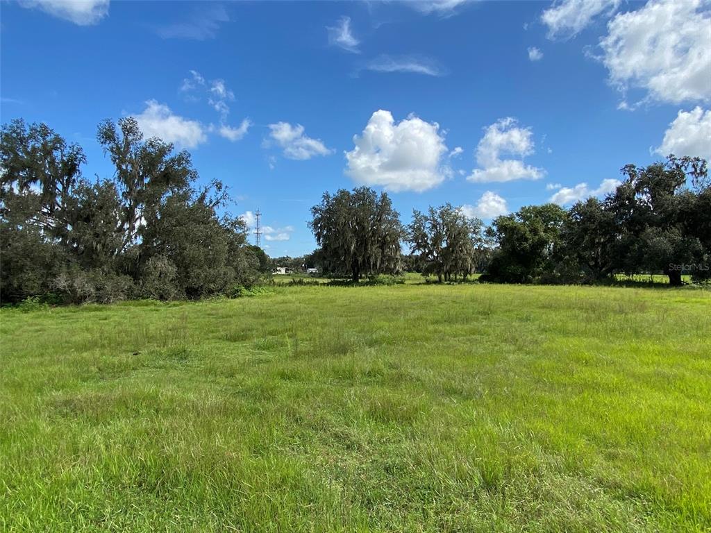 772 C Cr Webster, FL 33597 - Photo 18 of 19 a view of a golf course with a yard
