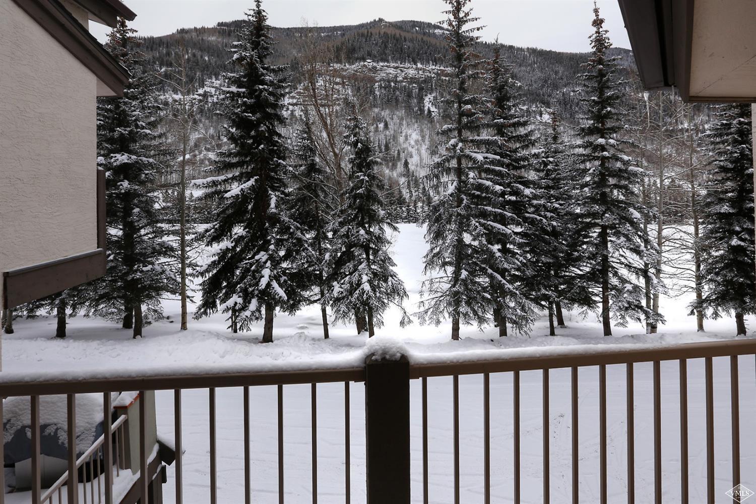 2335 Bald Mountain Road, Unit A5 Vail, CO 81657 - Photo 14 of 17 a view of a balcony with an outdoor space