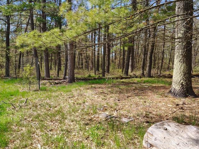 6230 Shellenbarger Road Hale, MI 48739 - Photo 34 of 46