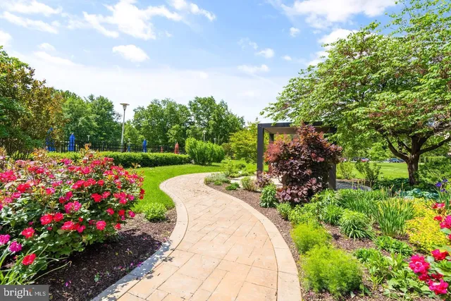 a view of a garden with flowers and flowers