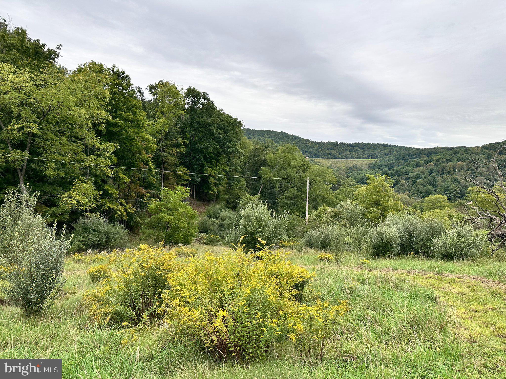 2052 Runville Road Bellefonte, PA 16823 - Photo 11 of 54 Gallery Image 11