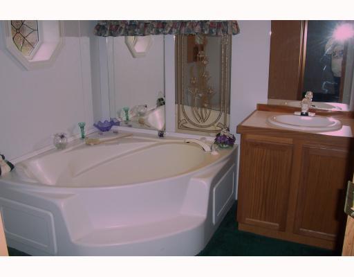 1580 Dime Road Vandergrift, PA 15690 - Photo 5 of 9 Master Bath/Spa.