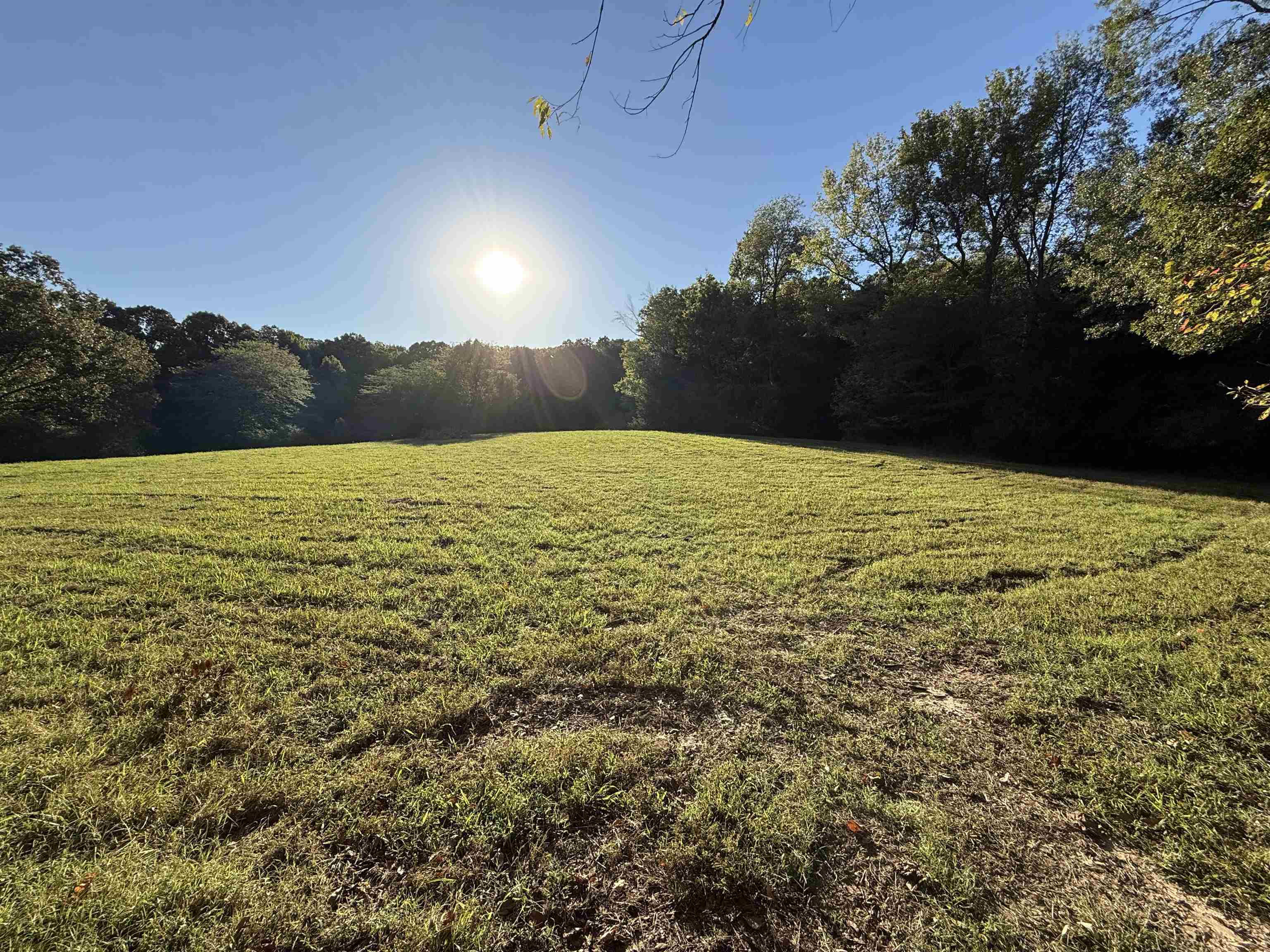 9221 Collierville Arlington Road Arlington, TN 38002 - Photo 3 of 4