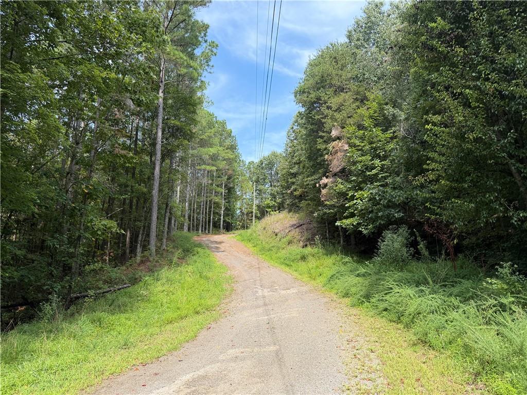 0 Fuller Mountain Road Fairmount, GA 30139 - Photo 12 of 14 Gallery Image 12