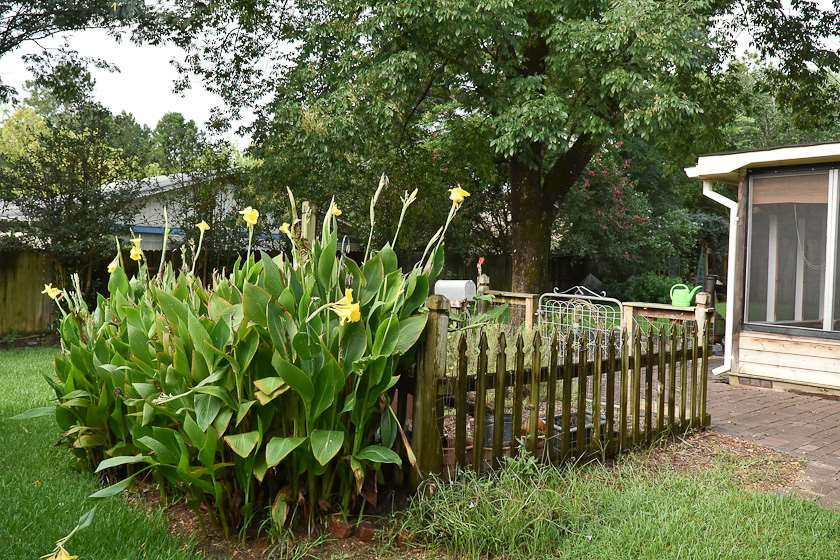 2025 Gateway Drive Ridgeland, MS 39157 - Photo 10 of 36 Photo 10