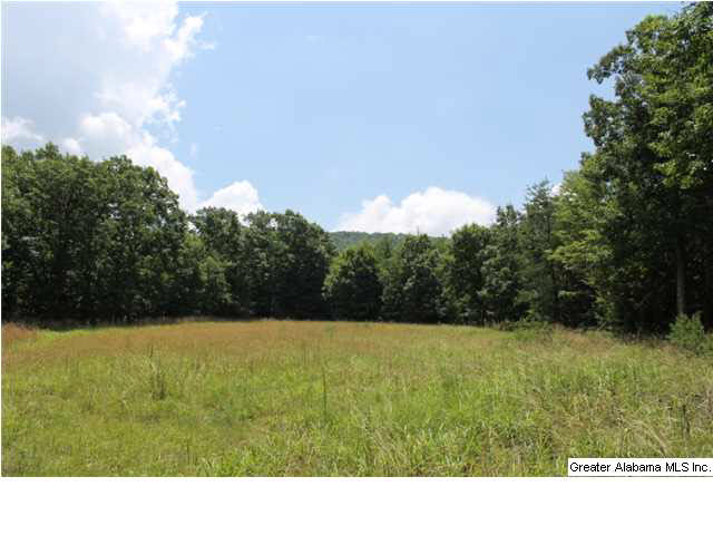 793 County Road, Unit 460 Centre, AL 35960 - Photo 7 of 11