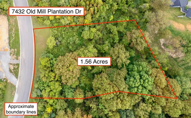 a sign broad in front of flowers