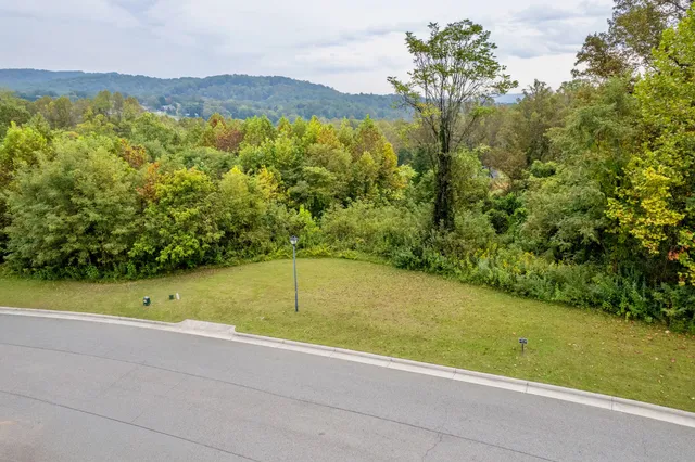 a view of a yard with an outdoor space