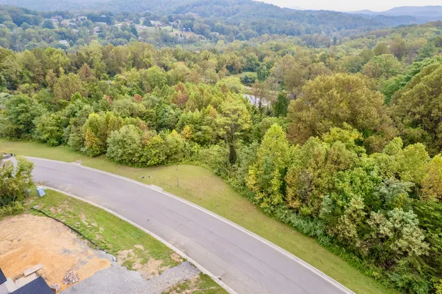 a view of a yard with a tree