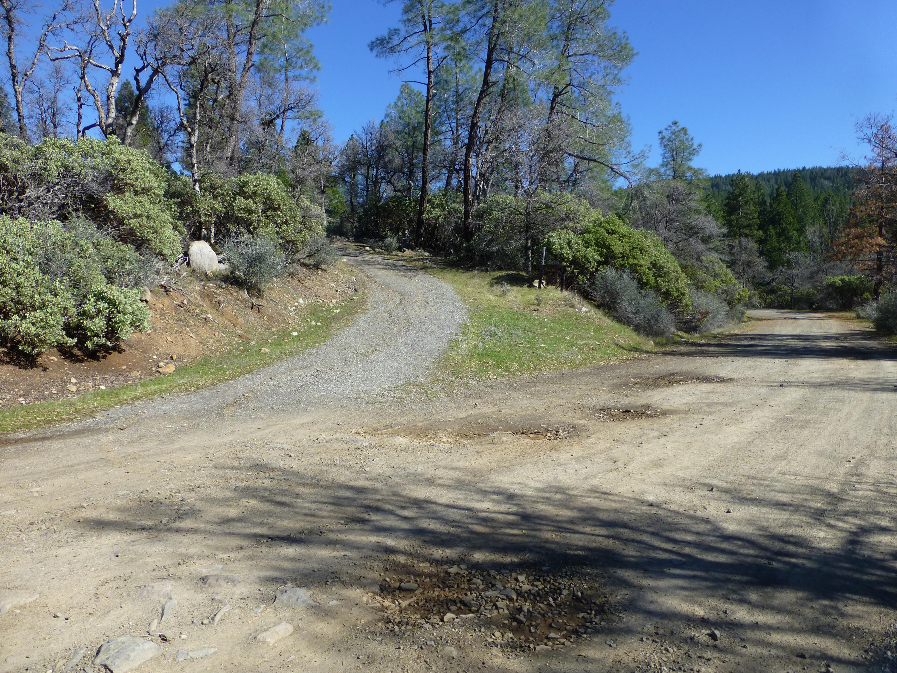 Rl Smith Logging Road Oak Run, CA 96069 - Photo 3 of 12 a view of a yard with a house