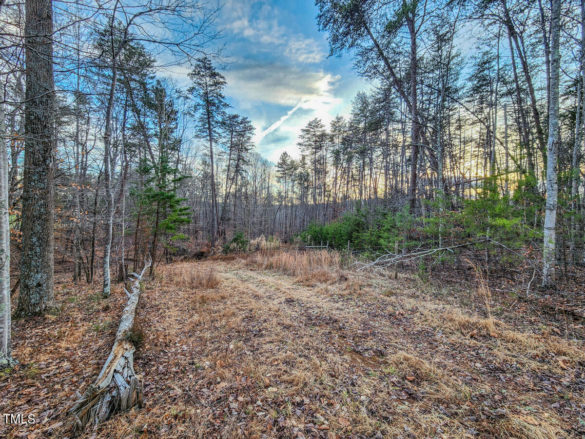 1254 Anglin Mill Road Stoneville, NC 27048 - Photo 8 of 92 8