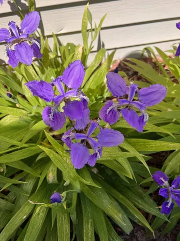 $389,000 | 1249 Fieldview Drive, Menasha, WI 54952