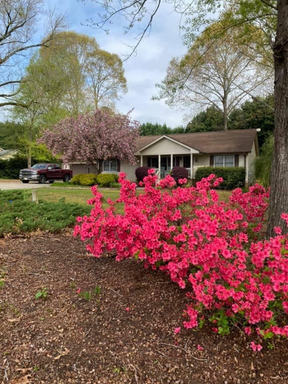 300 Beech View Court Seneca, SC 29672 - Photo 45 of 50 Azaleas