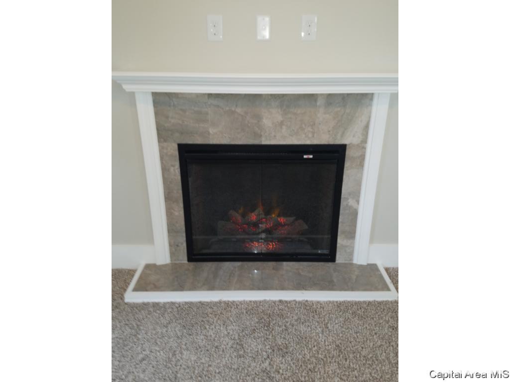 103 North State Street Springfield, IL 62702 - Photo 9 of 35