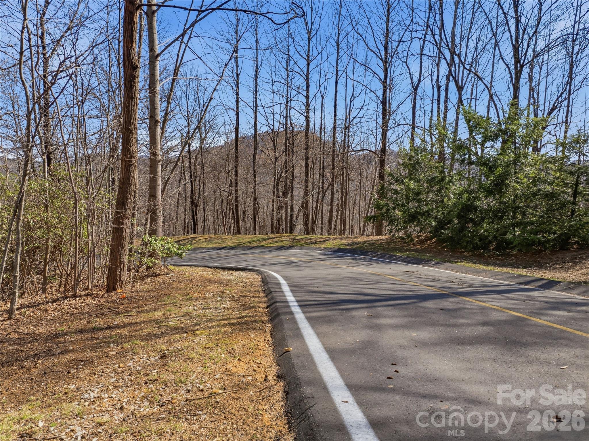 0 Panther Mountain Road, Unit 18 Zirconia, NC 28790 - Photo 10 of 40 Gallery Image 10