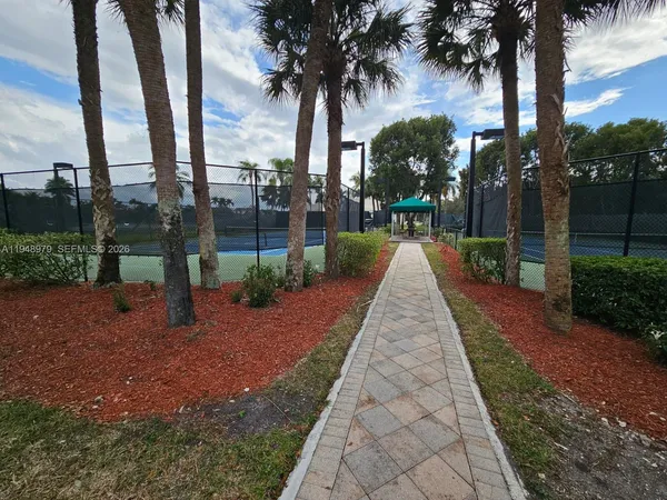 a view of a yard with palm trees