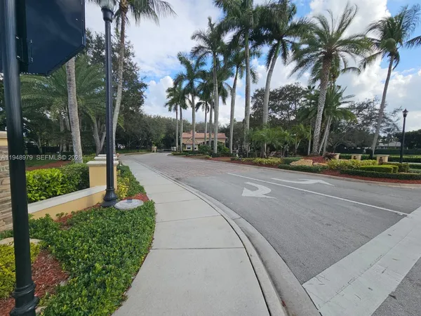 a view of a park with palm trees