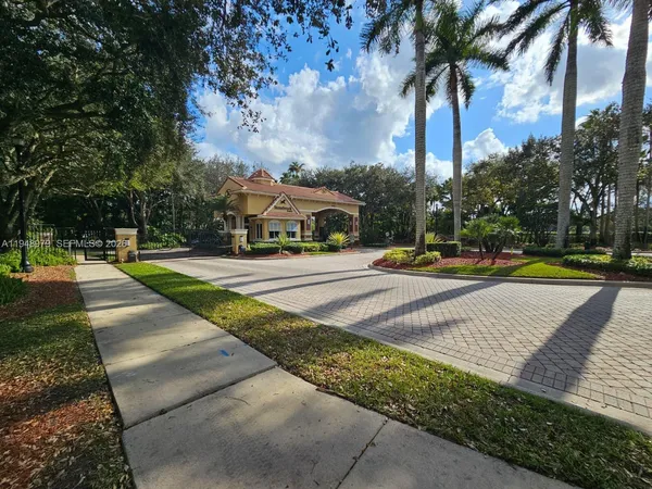 a view of a park with palm trees