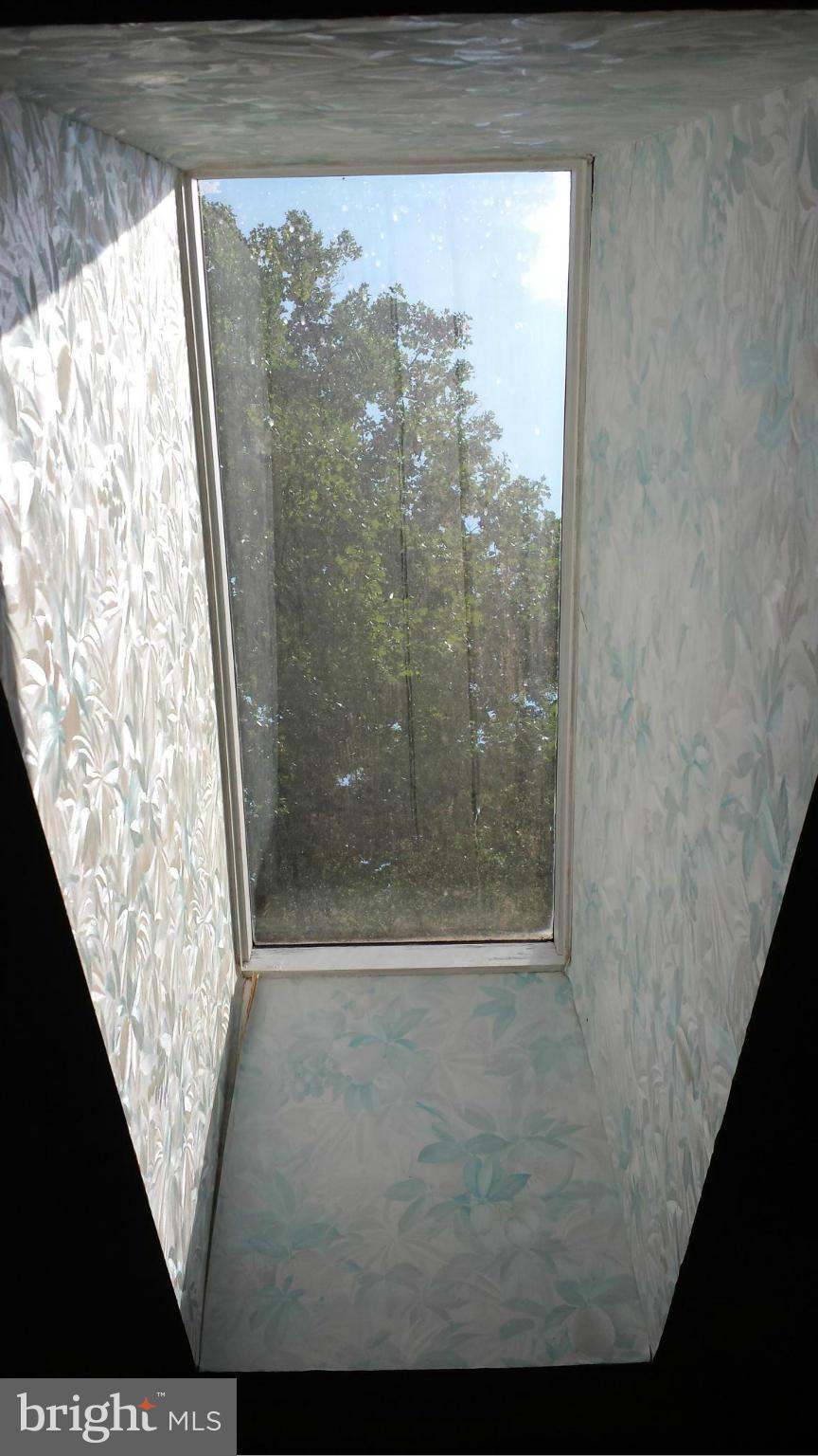 5510 Hoover Road Reva, VA 22735 - Photo 11 of 27 Interior (General)