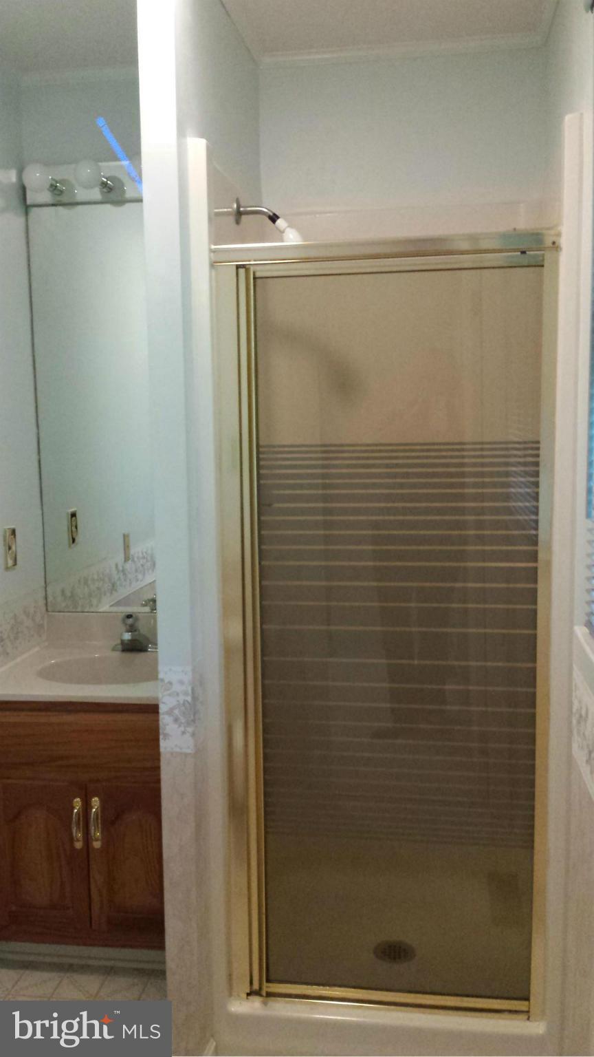 5510 Hoover Road Reva, VA 22735 - Photo 16 of 27 Bath (Master)
