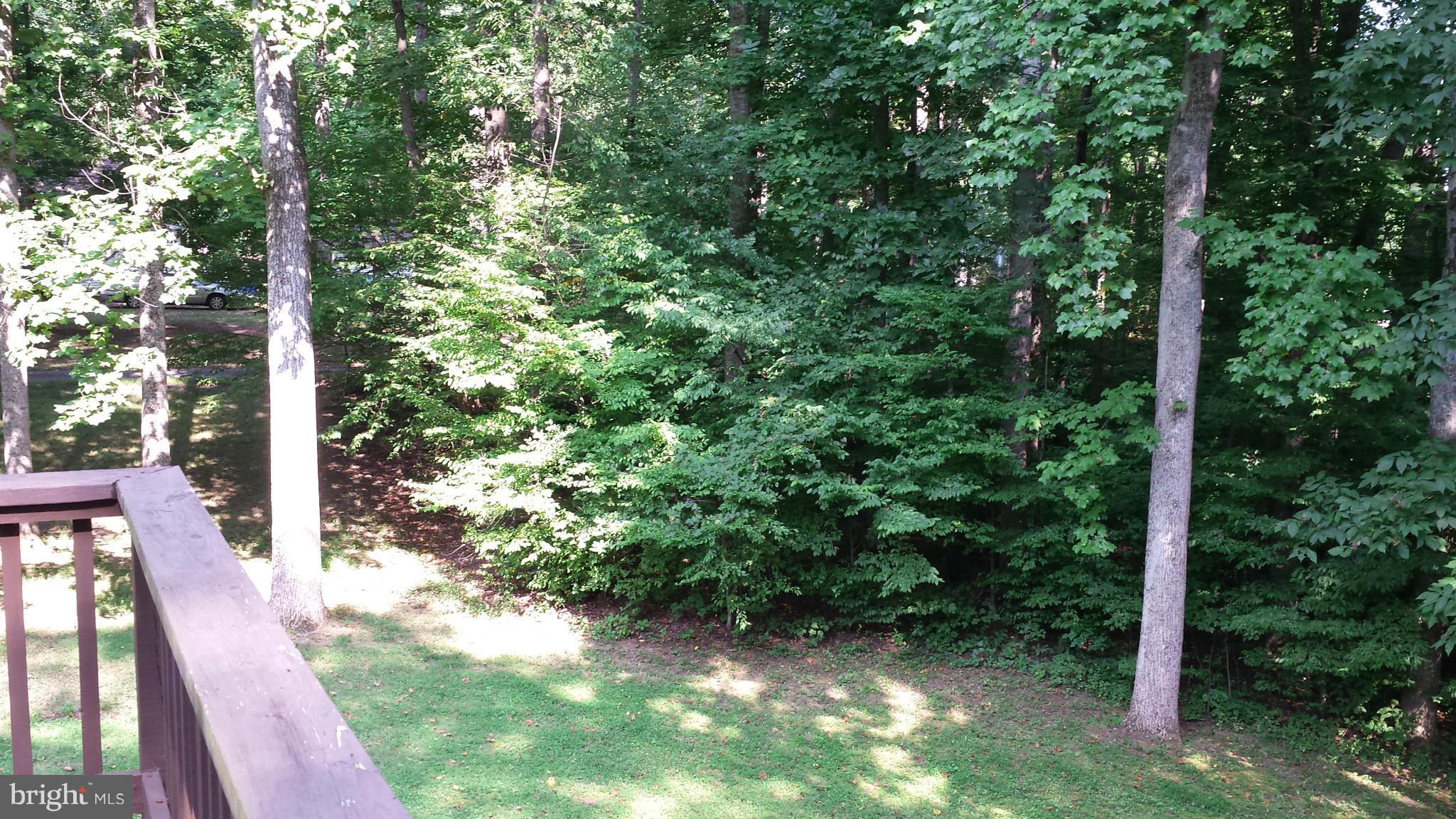 5510 Hoover Road Reva, VA 22735 - Photo 26 of 27 View