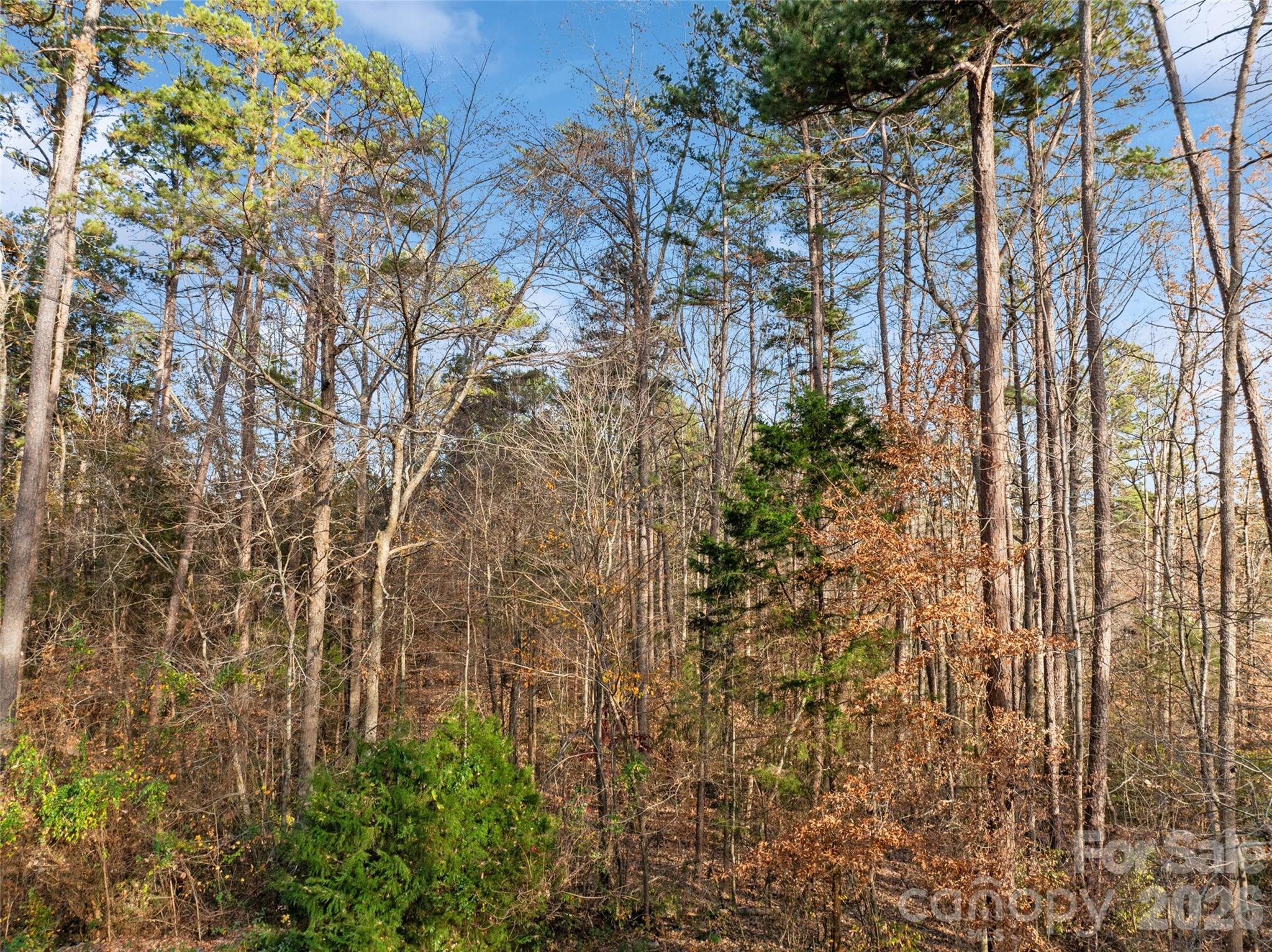 0 Sandy Ford Road Mount Holly, NC 28120 - Photo 10 of 12