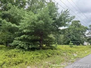 $65,000 | 695 Big Pond Road, Huguenot, NY 12746
