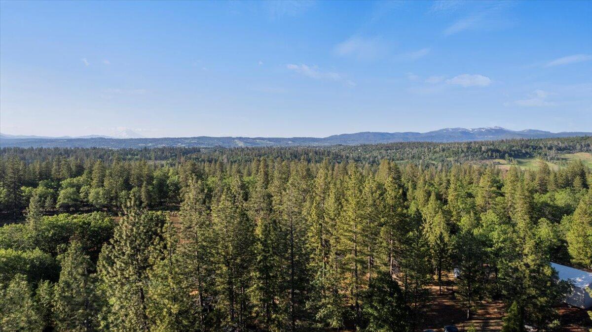 10632 Ridgetop Road Whitmore, CA 96096 - Photo 35 of 35 05-DJI_0168