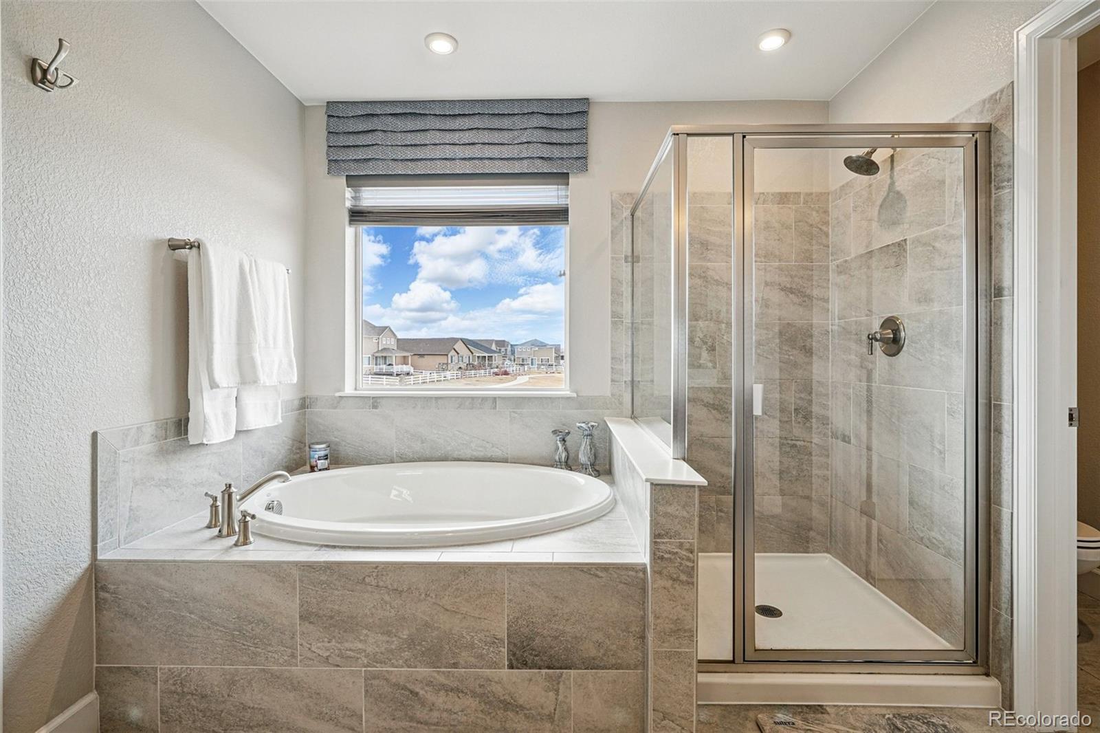 745 Penstemon Drive Henderson, CO 80640 - Photo 15 of 38 a bathroom with a tub a window and a shower