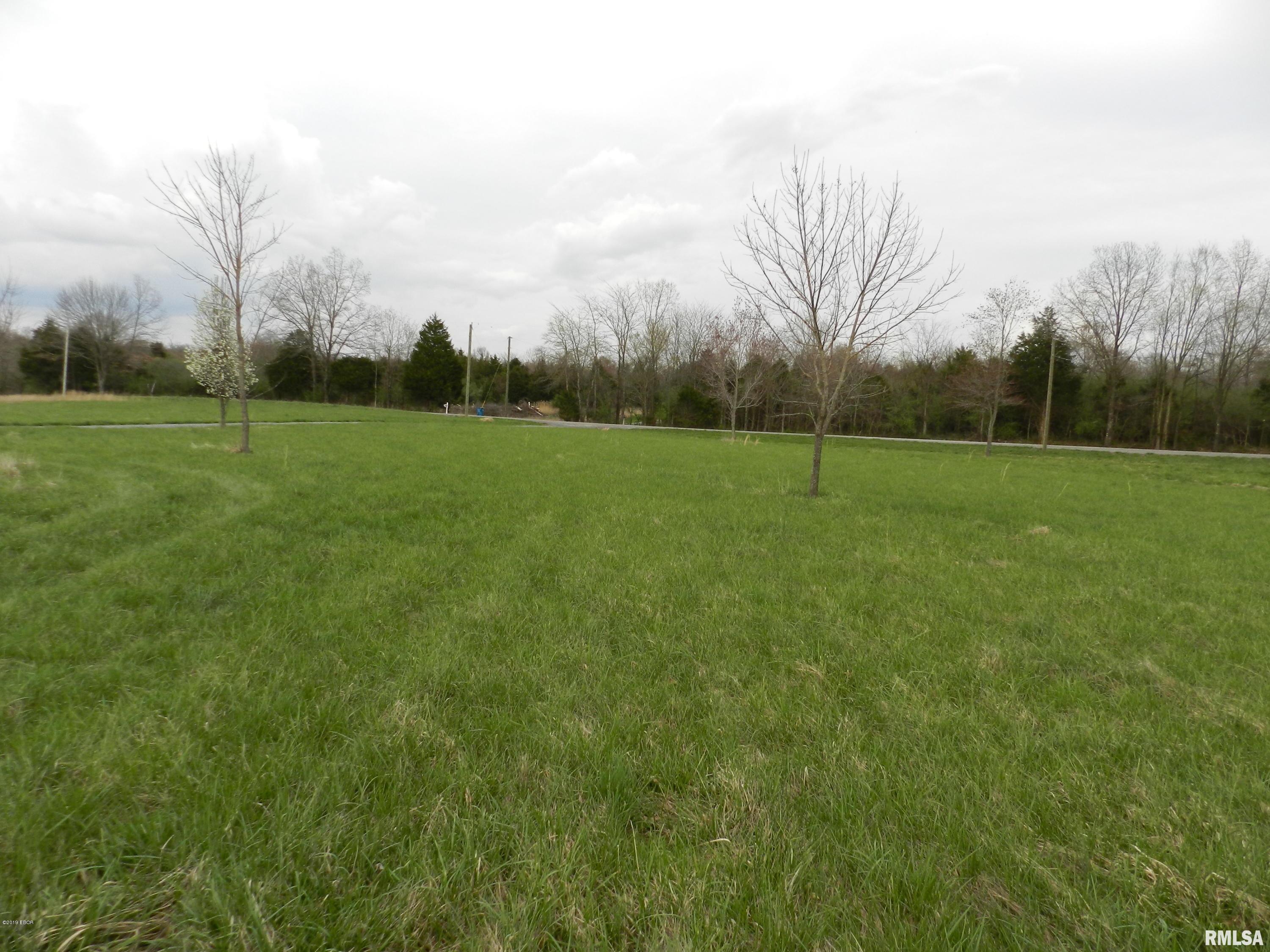 13529 Alleghany Road Thompsonville, IL 62890 - Photo 10 of 11 Gallery Image 10