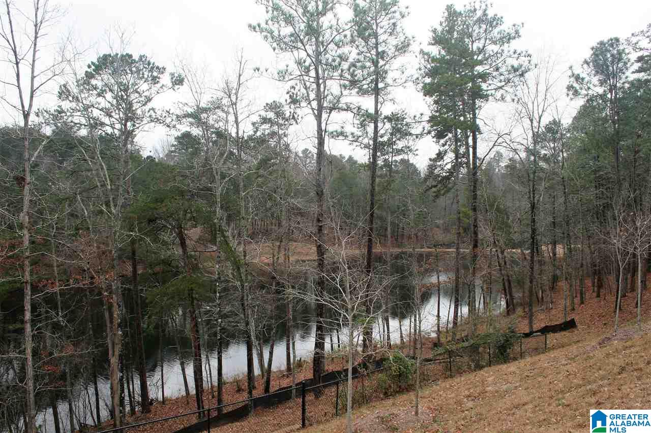 1218 Inverness Cove Way Birmingham, AL 35242 - Photo 42 of 42