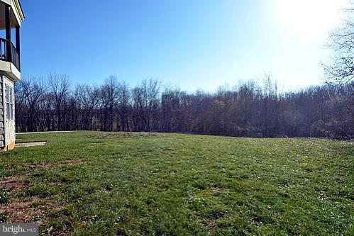 14331 Frederick Road Cooksville, MD 21723 - Photo 17 of 19 Backyard