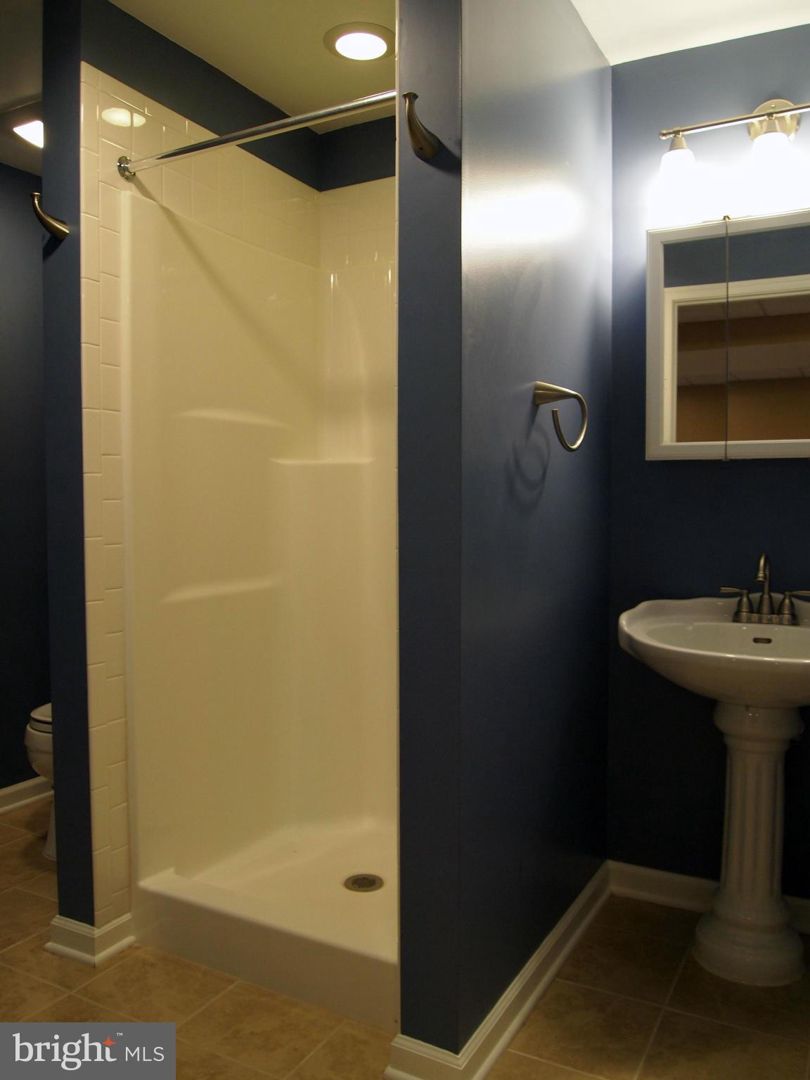 37479 Branchriver Road Purcellville, VA 20132 - Photo 11 of 21 Basement Bath