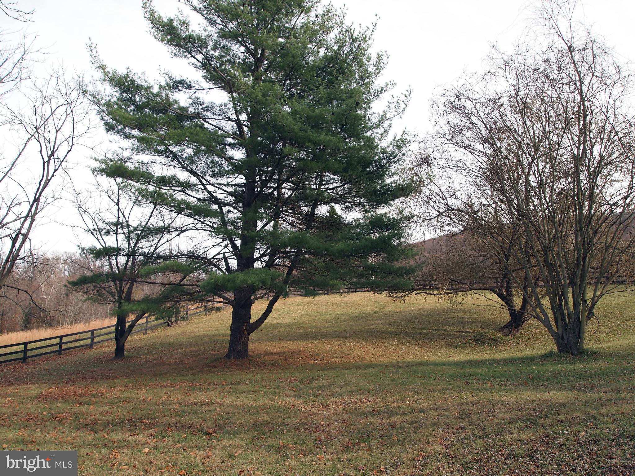 37479 Branchriver Road Purcellville, VA 20132 - Photo 18 of 21 View