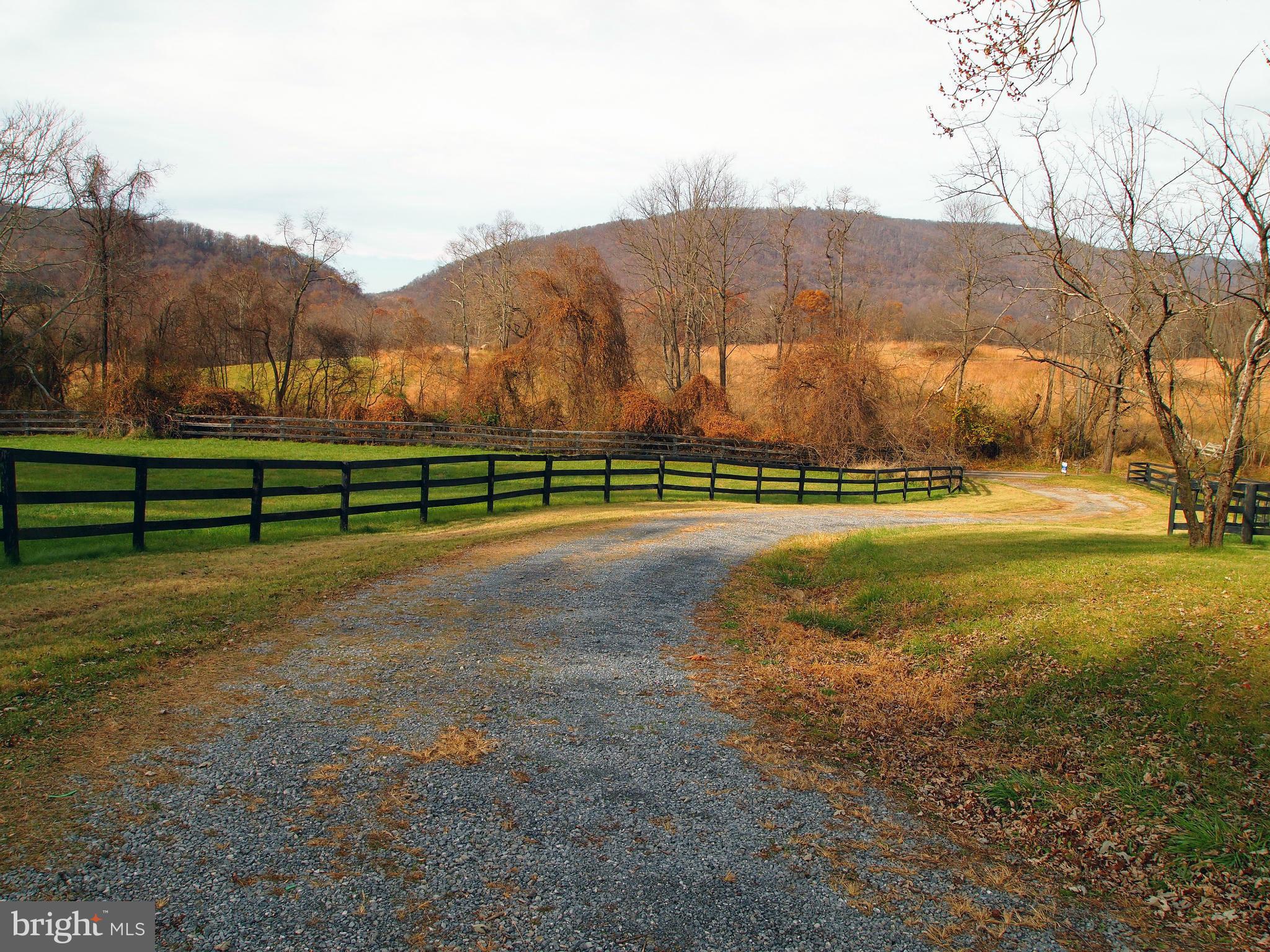 37479 Branchriver Road Purcellville, VA 20132 - Photo 20 of 21 Driveway
