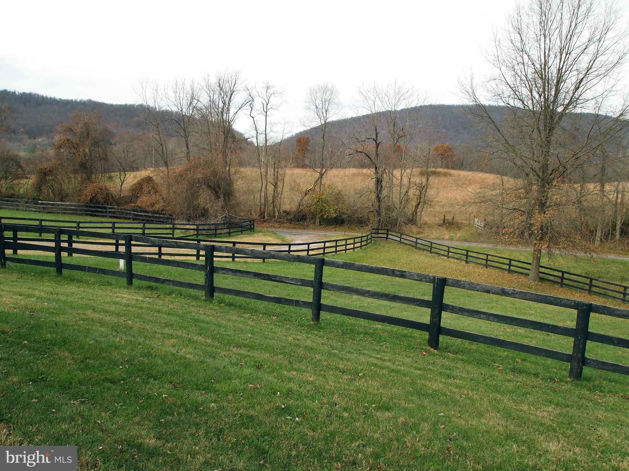 37479 Branchriver Road Purcellville, VA 20132 - Photo 3 of 21 View from Front Yard