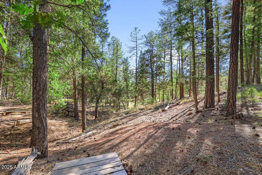 197 South Hiscox Lane Payson, AZ 85541 - Photo 23 of 31 197 H P 07