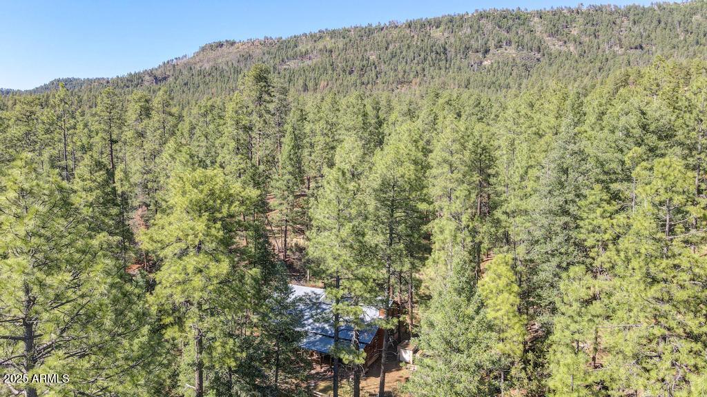 197 South Hiscox Lane Payson, AZ 85541 - Photo 28 of 31 197 H P 29