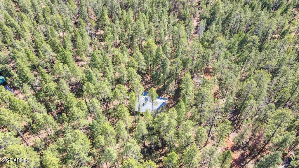 197 South Hiscox Lane Payson, AZ 85541 - Photo 29 of 31 197 H P 30