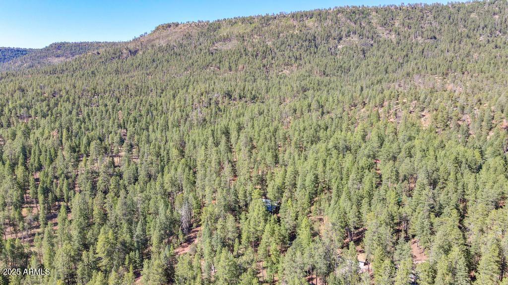 197 South Hiscox Lane Payson, AZ 85541 - Photo 31 of 31 197 H P 31