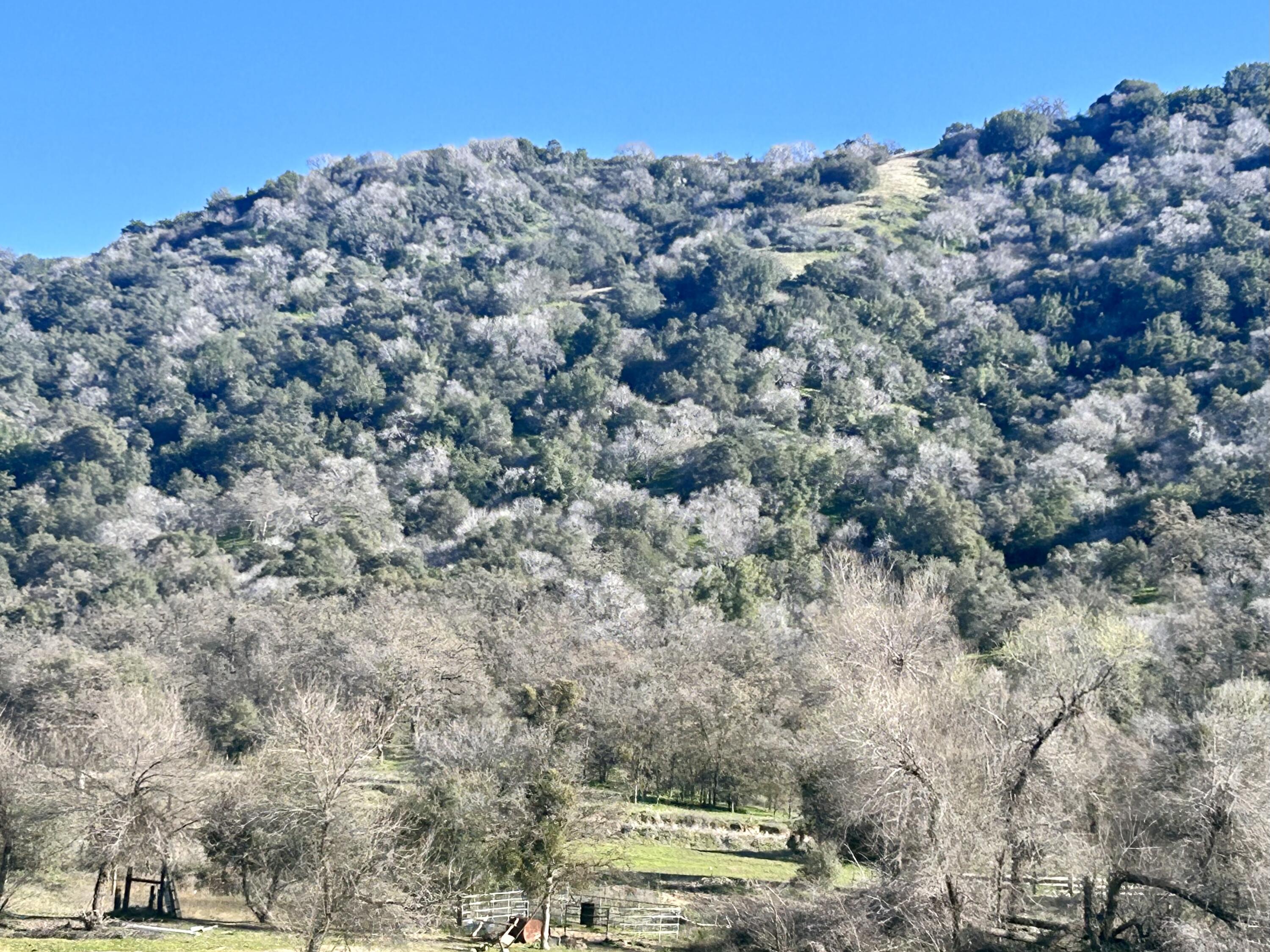 40587 Hot Springs Road Porterville, CA 93257 - Photo 6 of 10 IMG_4856