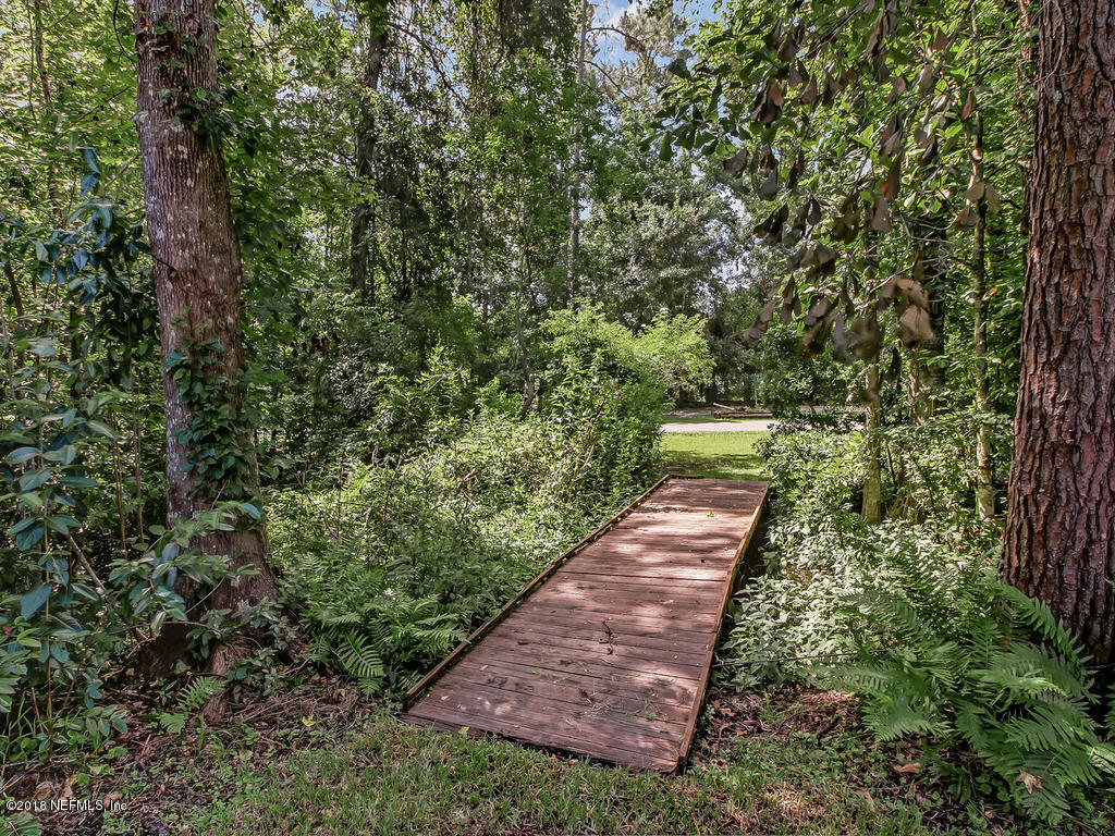 1576 Scott Road Fruit Cove, FL 32259 - Photo 87 of 87 a view of a pathway both side of yard
