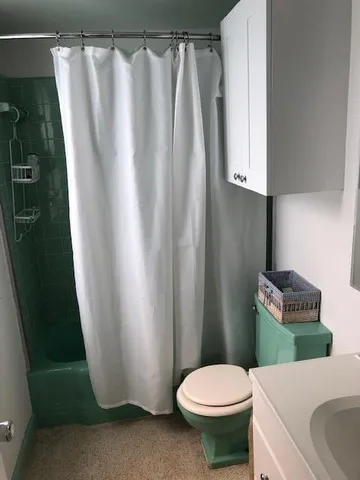 a white toilet sitting next to a shower curtain
