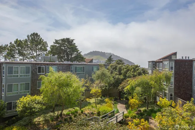 a view of a garden with plants and large trees