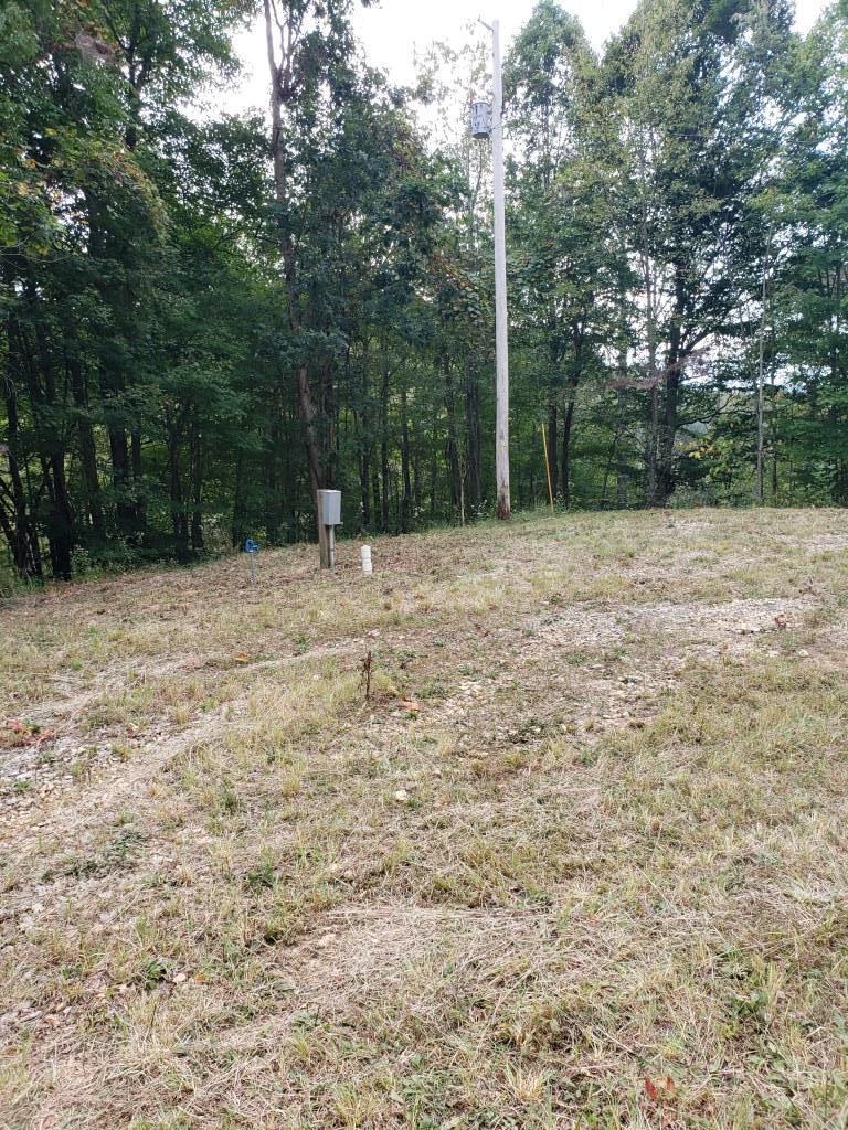 1295 Poga Road Butler, TN 37640 - Photo 2 of 29 20190926_124619