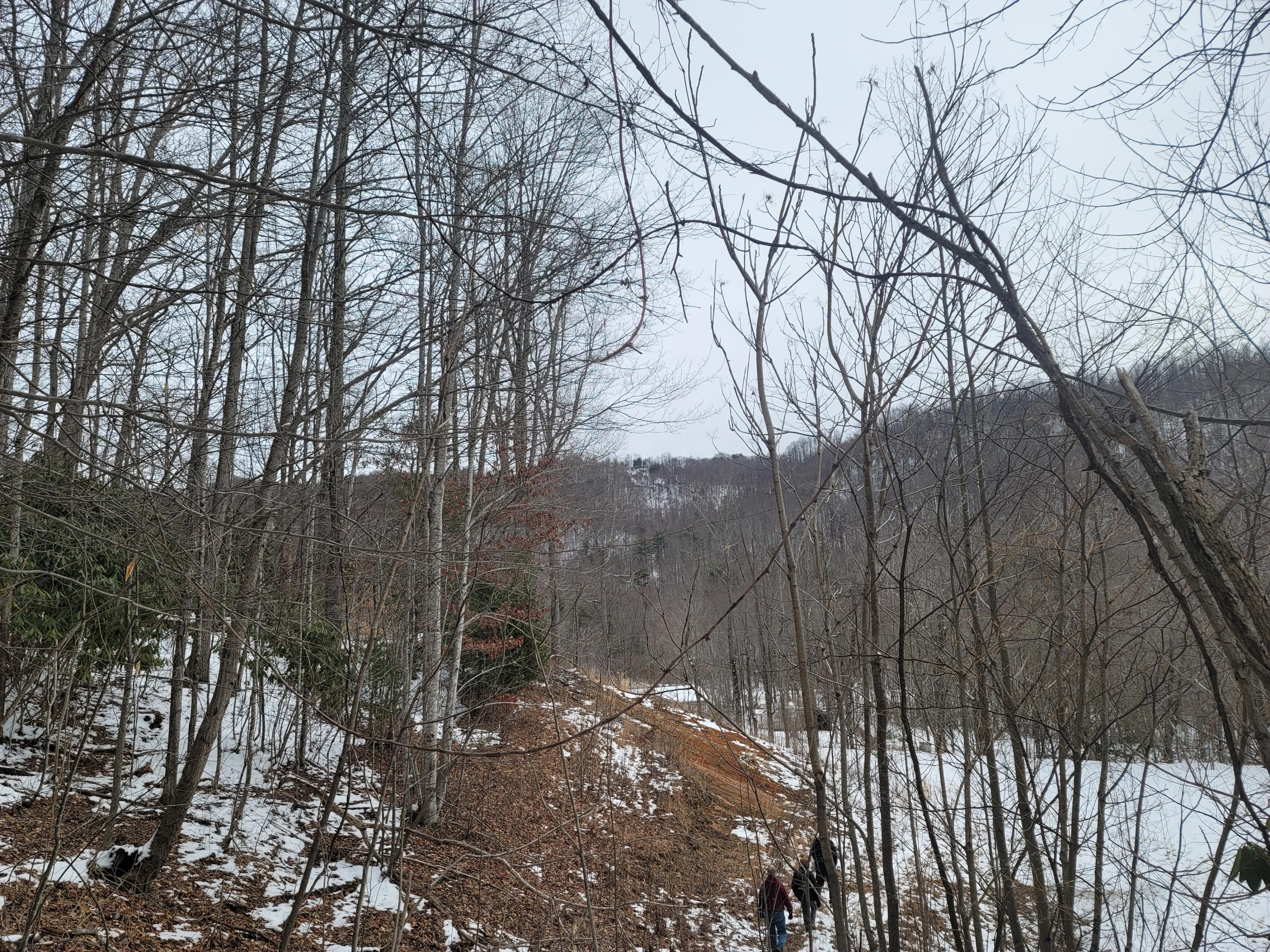1295 Poga Road Butler, TN 37640 - Photo 27 of 29 Winter at Poga (15)