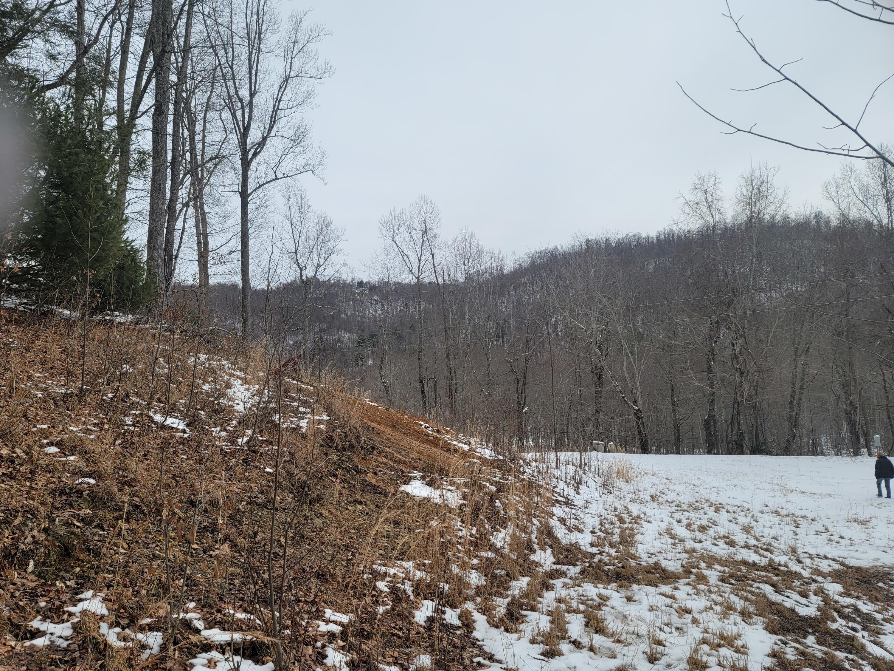 1295 Poga Road Butler, TN 37640 - Photo 29 of 29 Winter at Poga (17)