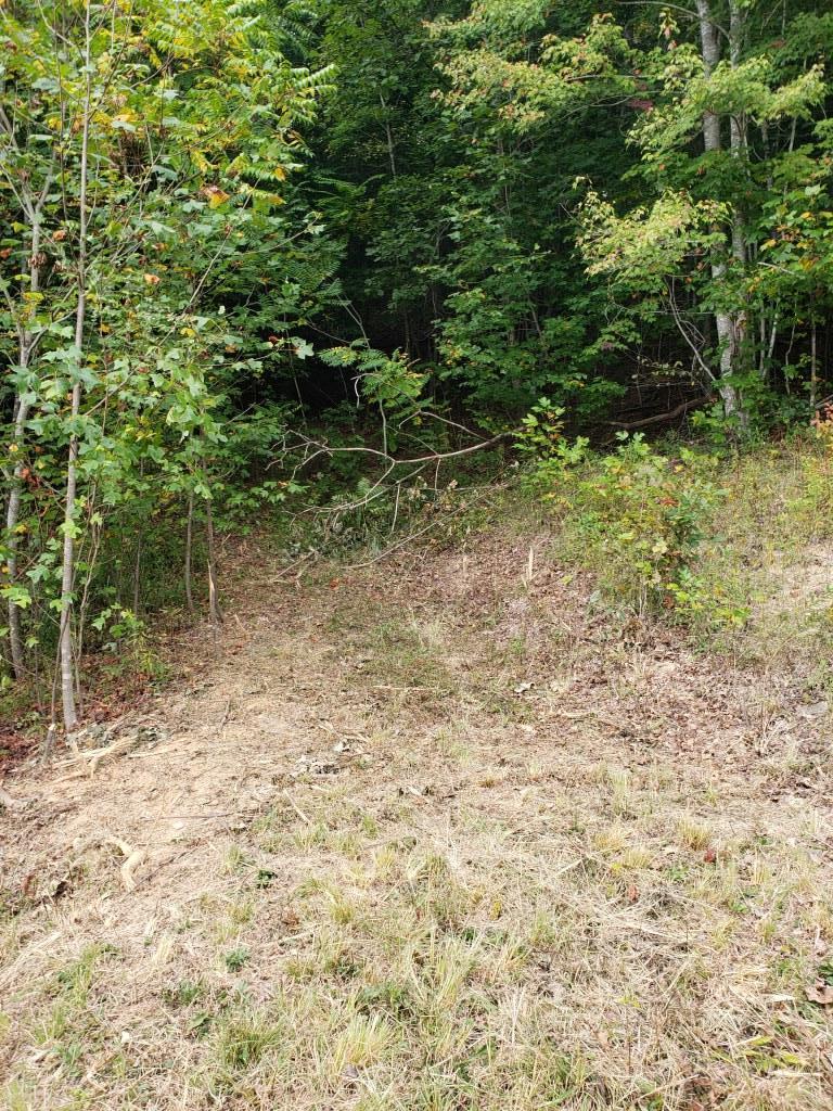 1295 Poga Road Butler, TN 37640 - Photo 3 of 29 20190926_124743