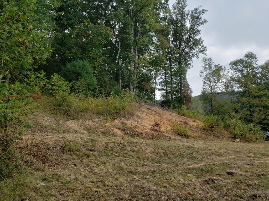 1295 Poga Road Butler, TN 37640 - Photo 10 of 29 20190926_131652
