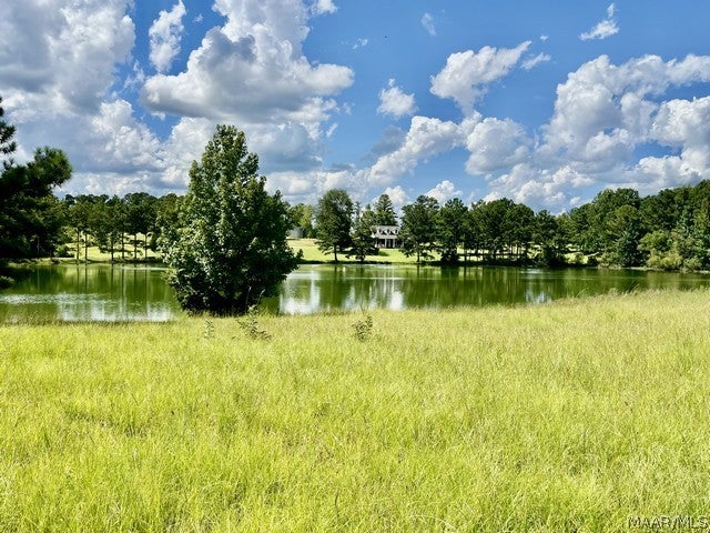 9637 Grier Road Wetumpka, AL 36092 - Photo 64 of 67 Gallery Image 64